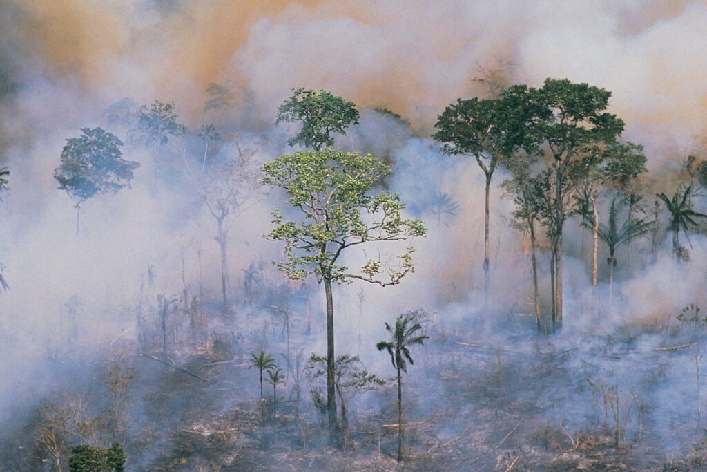 Waldbrand Amazonas