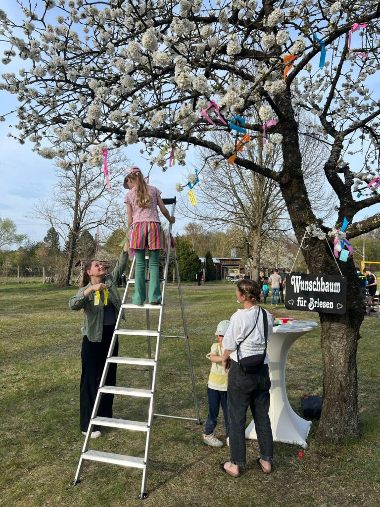 Klimaschutz-Projekt "Vom Beet aufs Dorffest – Briesen nachhaltig erleben"
