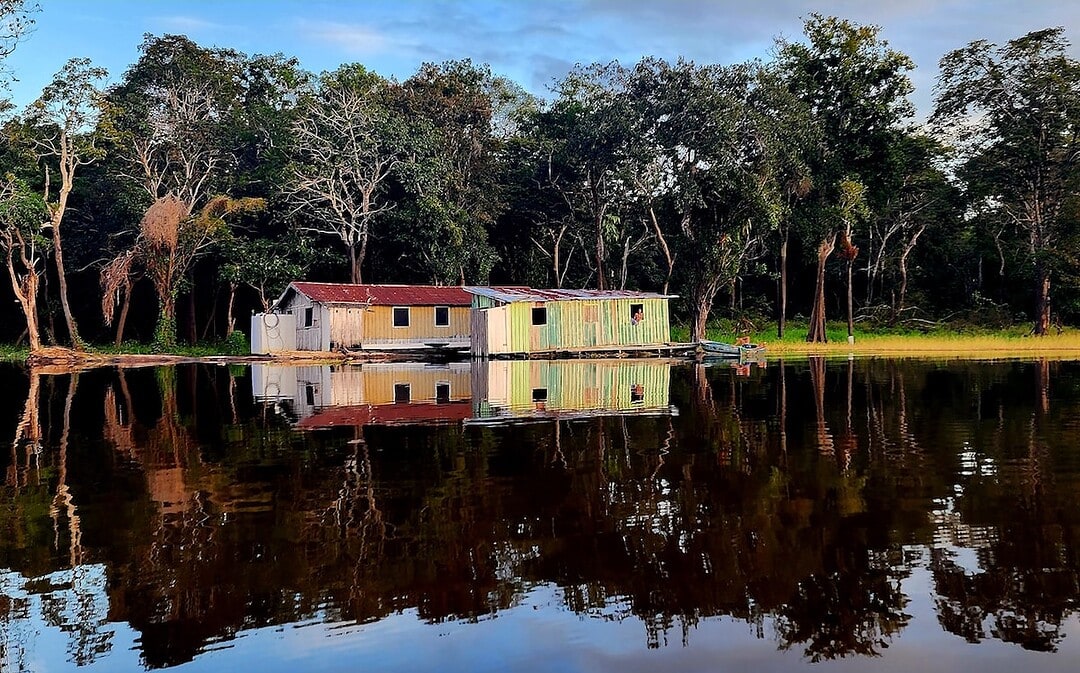 Abholzung im Amazonas auf 10-Jahres-Tief, Dachwasser kühlt Städte