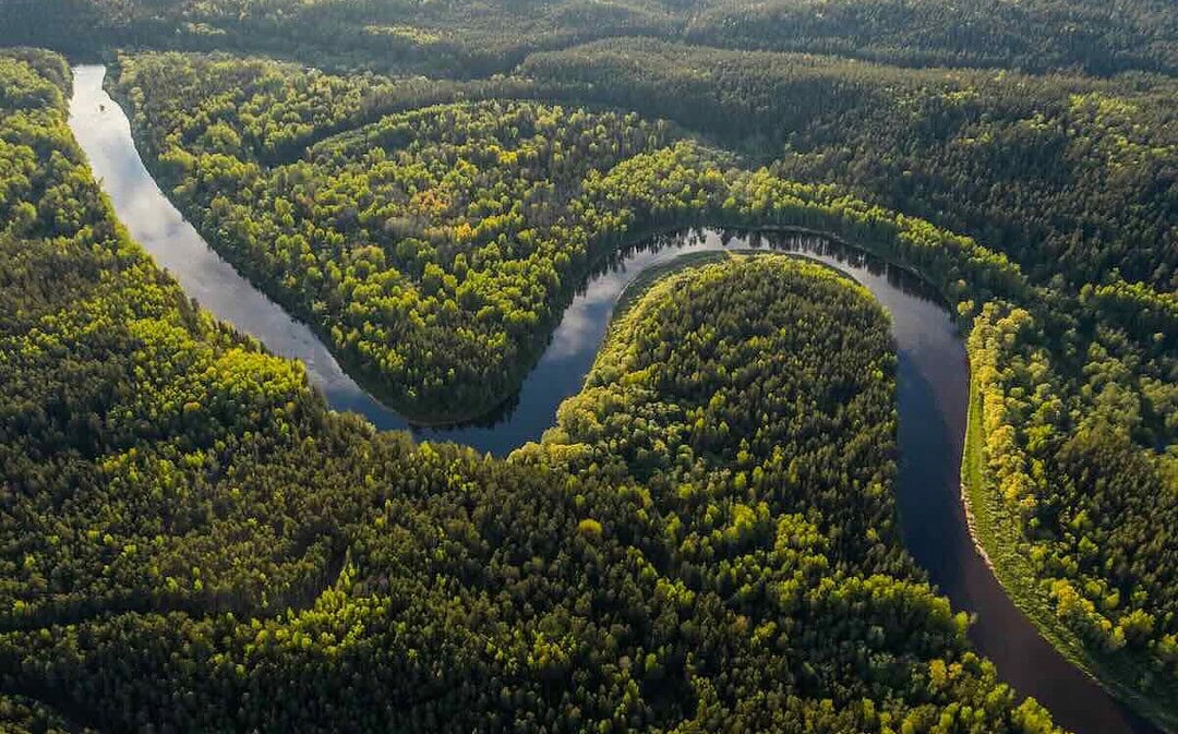 Waldbrände im Amazonas auf historischem Tiefstand