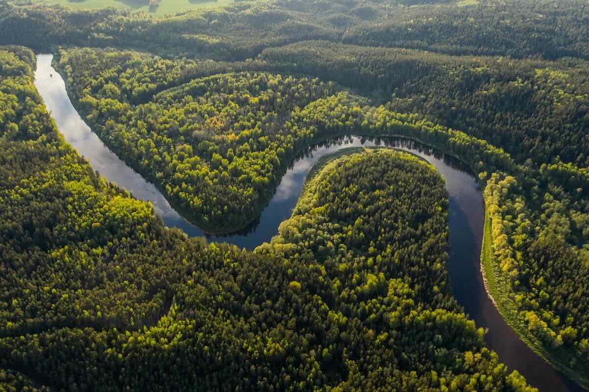 Fluss im Amazonas-Regenwald, umgeben von dichtem Grün.