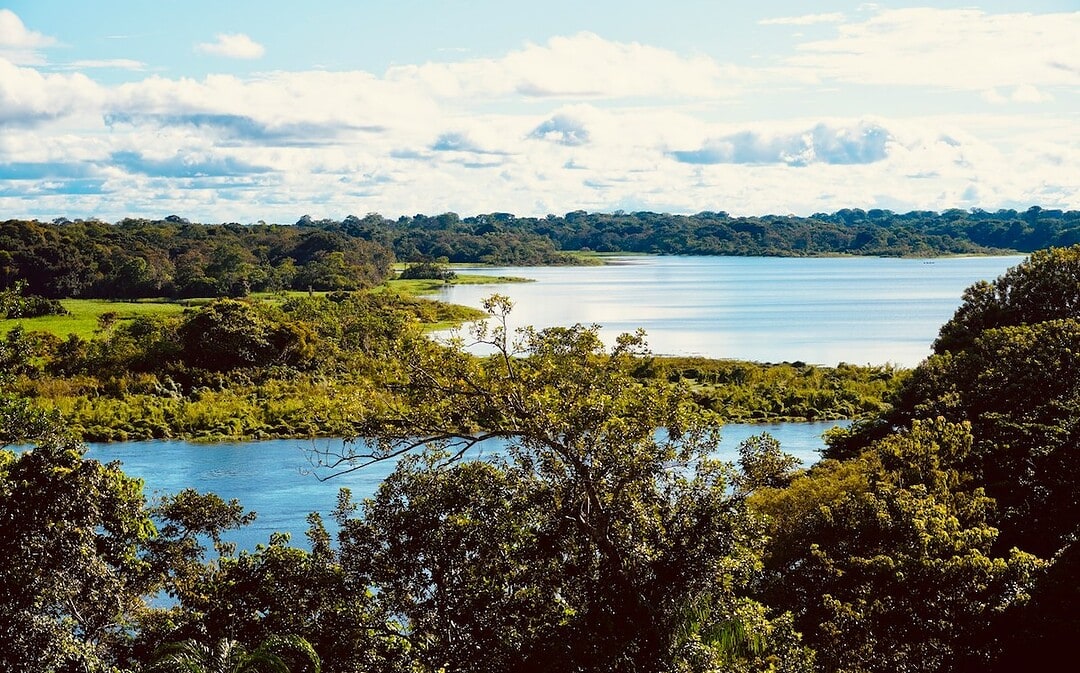 Größtes Schutzgebiet im Amazonas, erneuerbare Energien auf Rekordhoch
