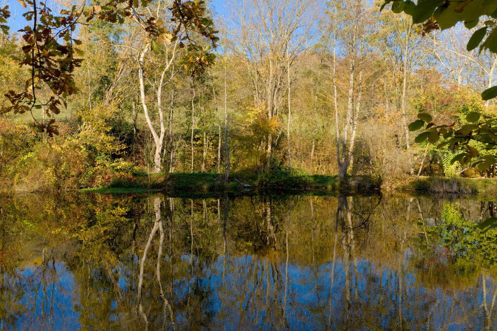 Thueringer Wald