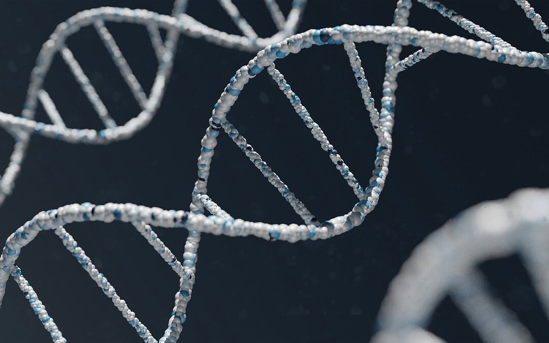 Wie das Verändern von Genen zur Lösung einer Mutationskrankheit führen kann